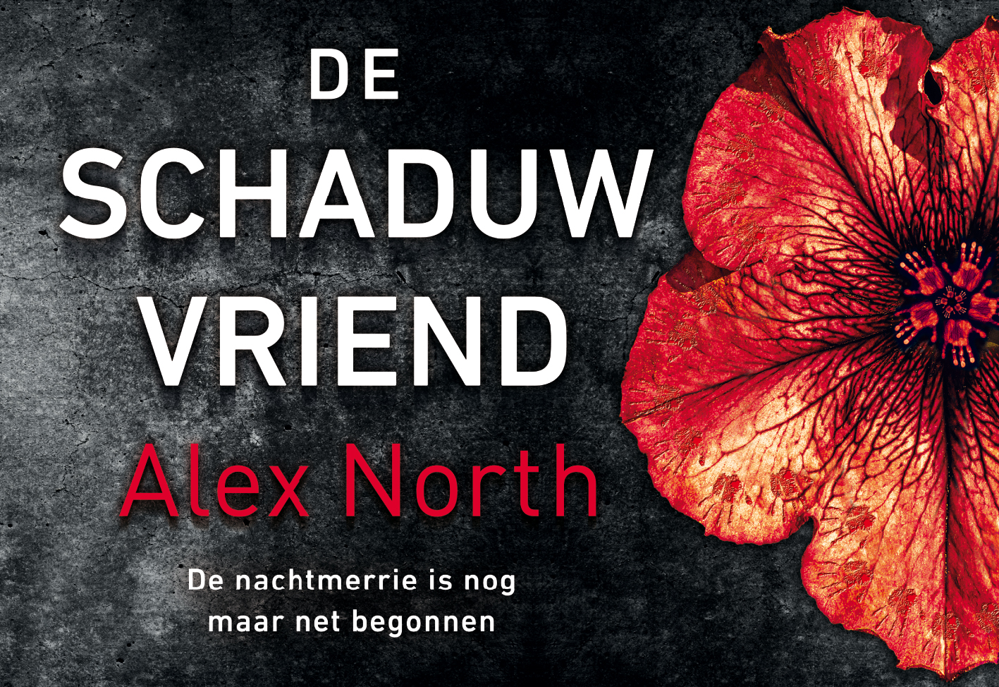 Omslag van De schaduwvriend