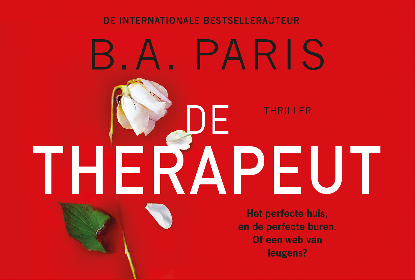 Omslag van De therapeut