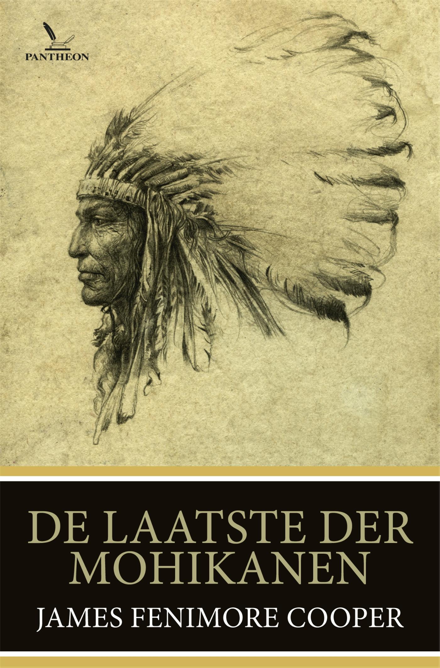 Omslag van De laatste der Mohicanen
