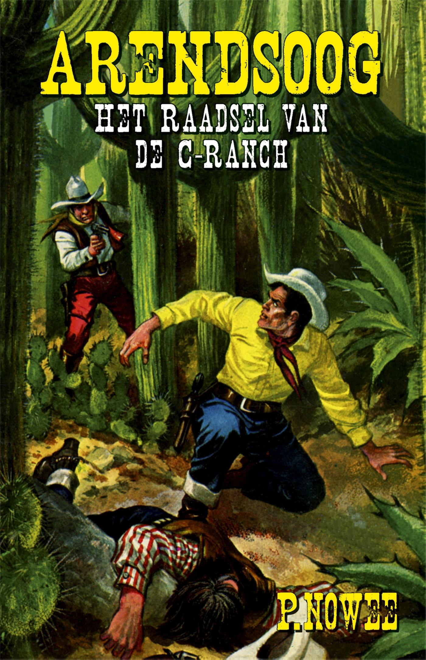 Omslag van Het raadsel van de C-ranch