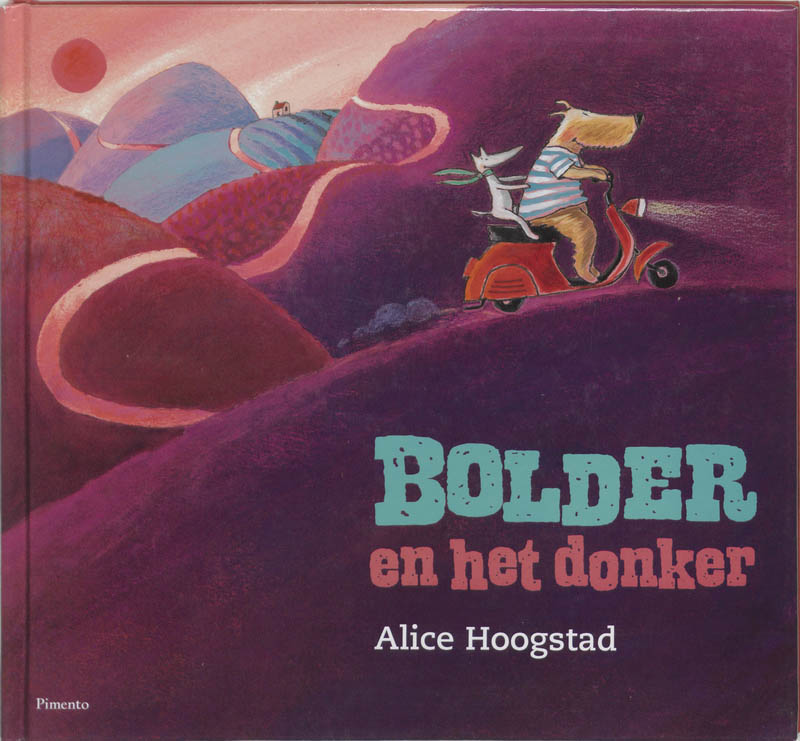Omslag van Bolder en het donker