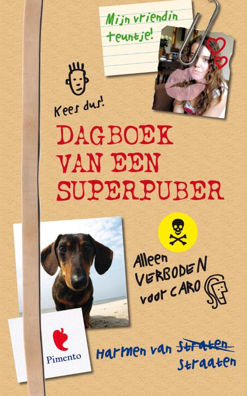 Omslag van Het geniale dagboek van een superpuber