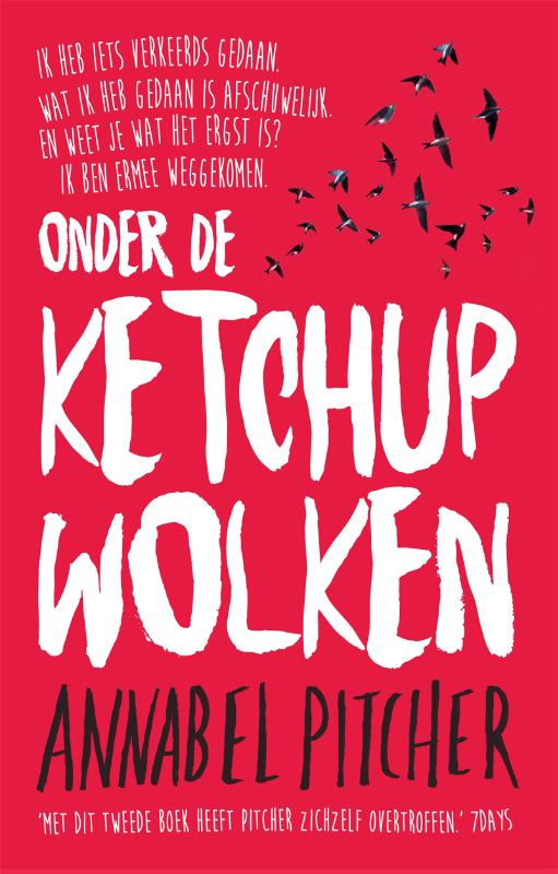 Omslag van Onder de ketchupwolken