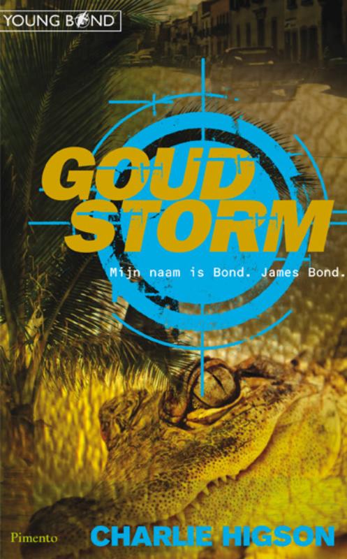 Omslag van Goudstorm