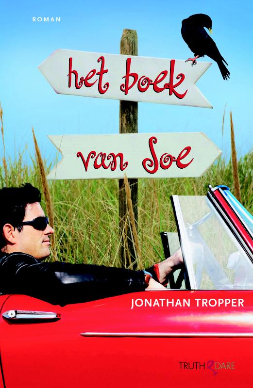 Omslag van Het boek van Joe