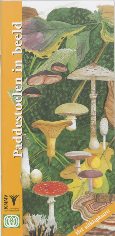 Omslag van Paddestoelen in beeld