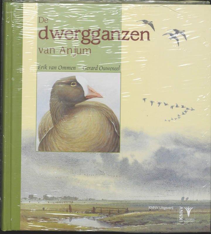 Omslag van De dwergganzen van Anjum