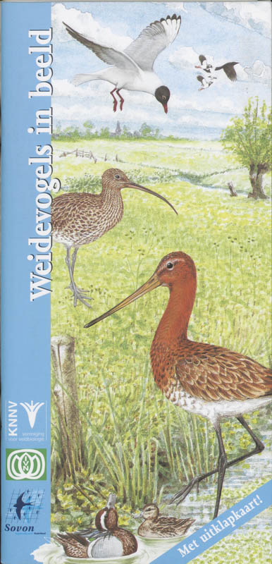 Omslag van Weidevogels in beeld