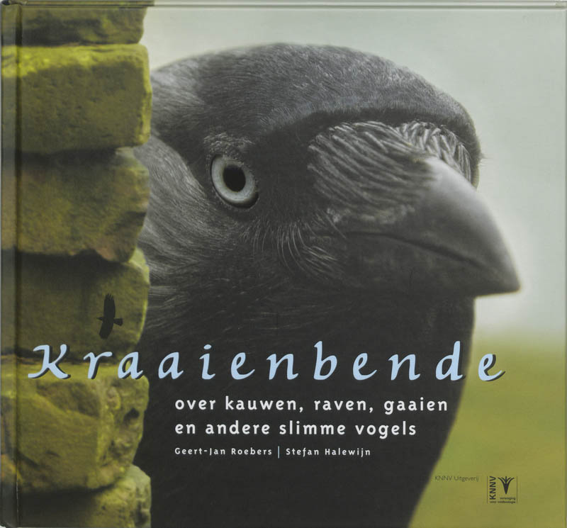 Omslag van Kraaienbende