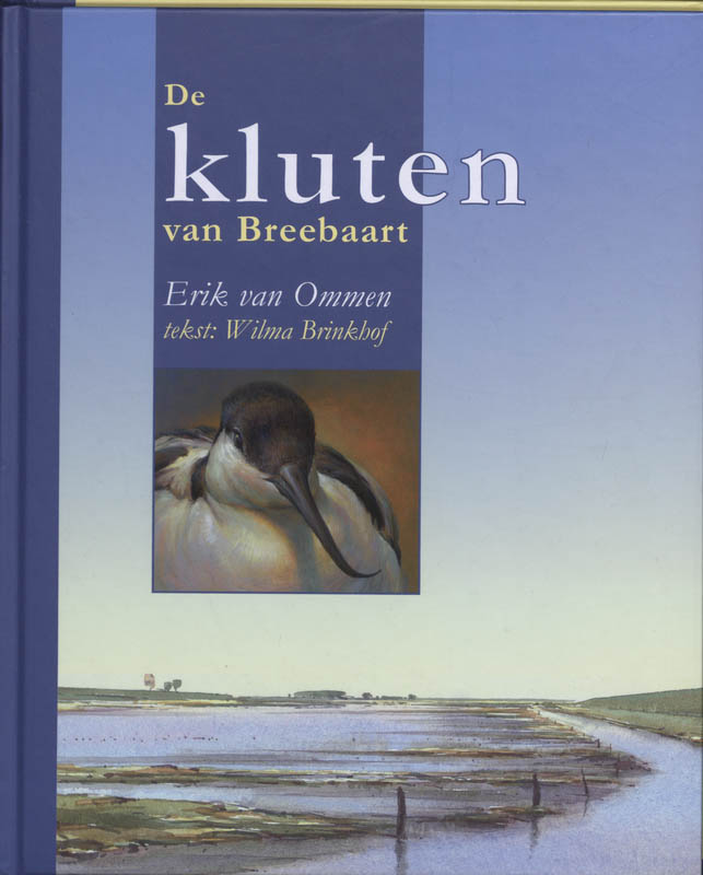 Omslag van De kluten van Breebaart