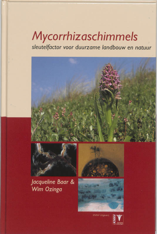Omslag van Mycorrhizaschimmels