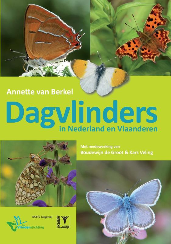 Omslag van Dagvlinders in Nederland en Vlaanderen