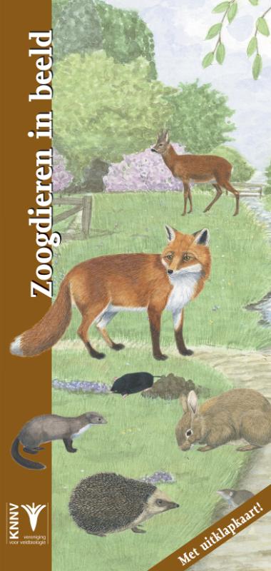 Omslag van Zoogdieren in beeld