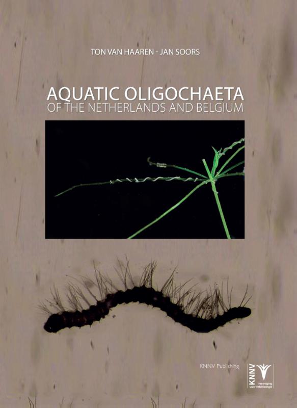 Omslag van Aquatic Oligochaeta of the Netherlands and Belgium
