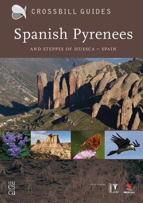 Omslag van Pyrenees