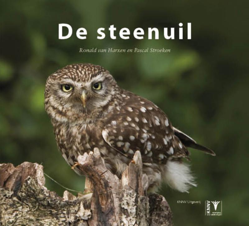 Omslag van De Steenuil