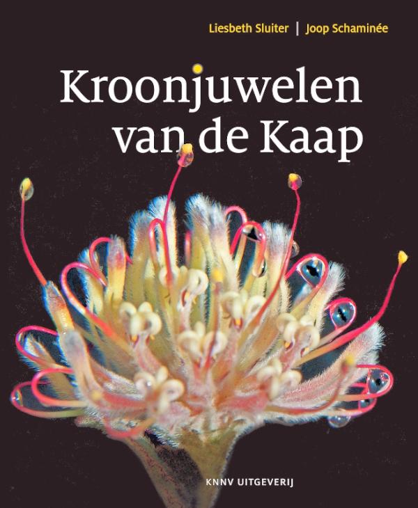 Omslag van Kroonjuwelen van de Kaap