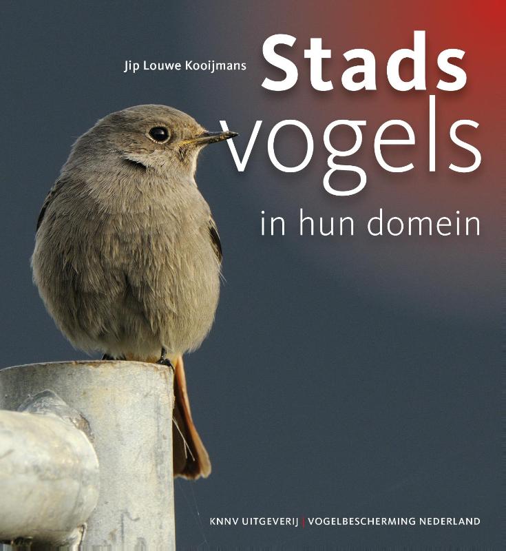 Omslag van Stadsvogels in hun domein