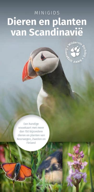 Omslag van Minigids dieren en planten van Scandinavie