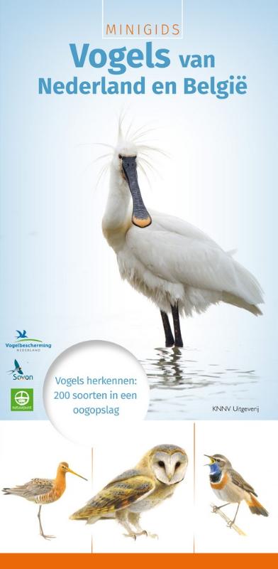 Omslag van Minigids vogels van Nederland en België