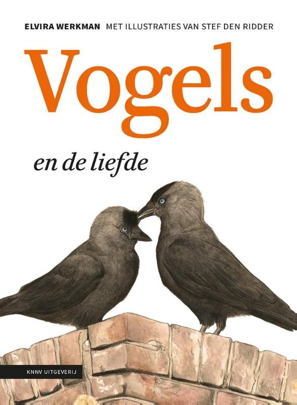 Omslag van Vogels en de liefde