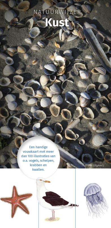 Omslag van Natuurwijzer Kust