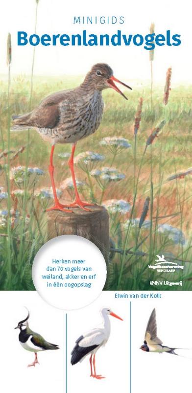 Omslag van Minigids Boerenlandvogels