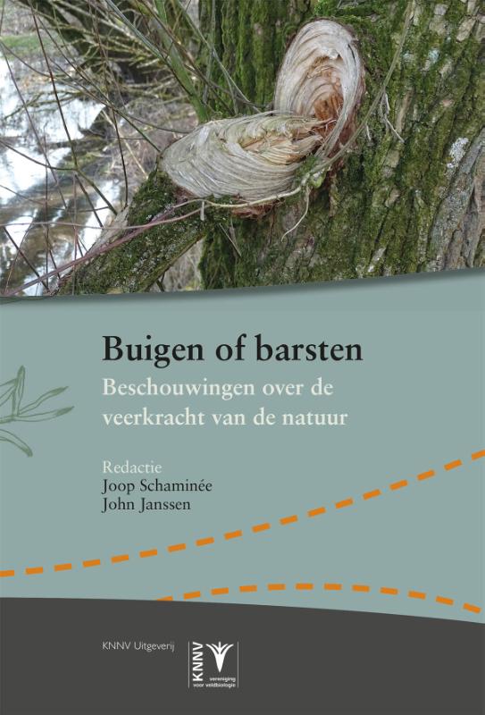 Omslag van Buigen of barsten