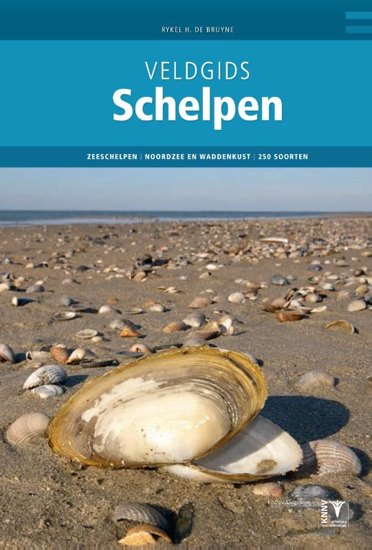 Omslag van Veldgids Schelpen