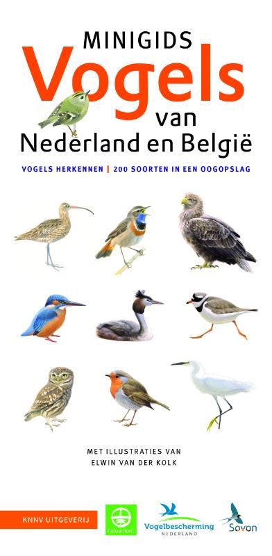 Omslag van Minigids Vogels van Nederland en België