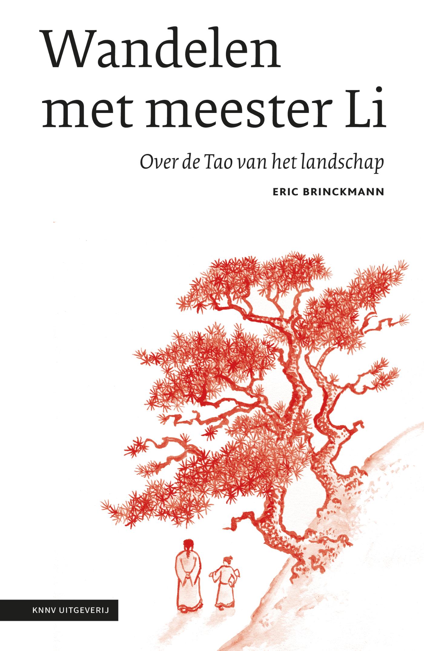 Omslag van Wandelen met meester Li