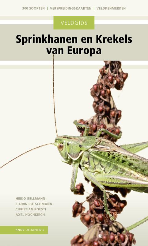 Omslag van Veldgids Sprinkhanen en krekels van Europa