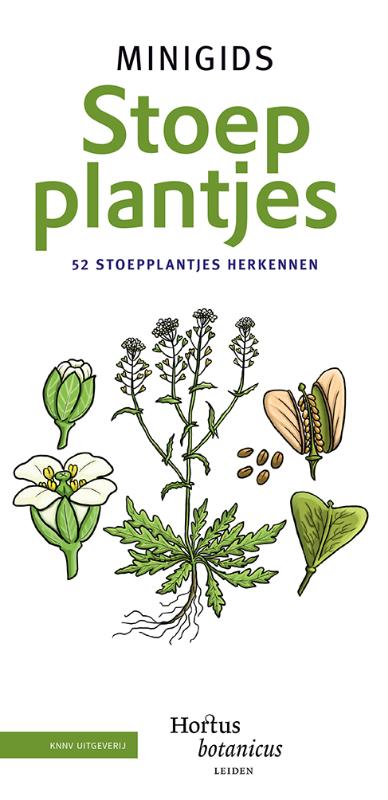 Omslag van Minigids Stoepplantjes