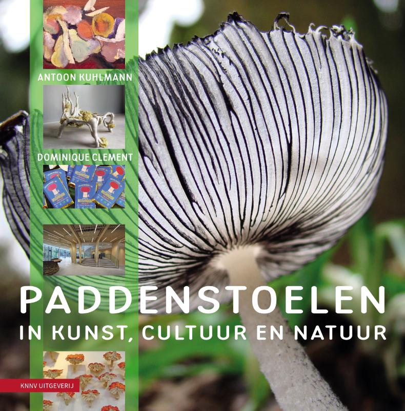 Omslag van Paddenstoelen in kunst, cultuur en natuur