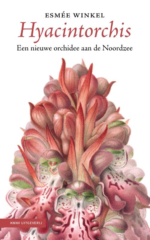 Omslag van Hyacintorchis