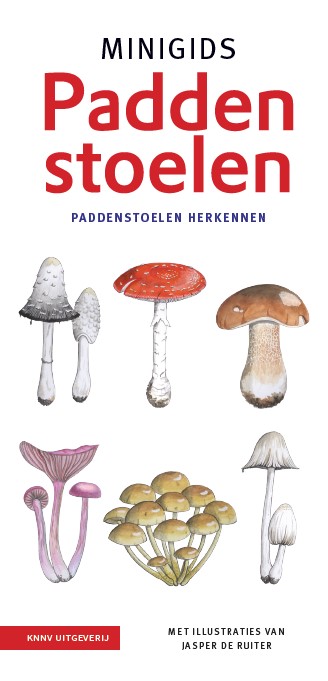 Omslag van Minigids Paddenstoelen set