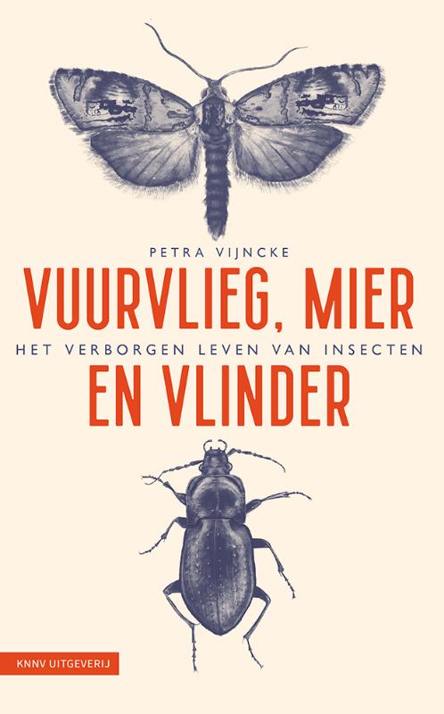 Omslag van Vuurvlieg, mier en vlinder