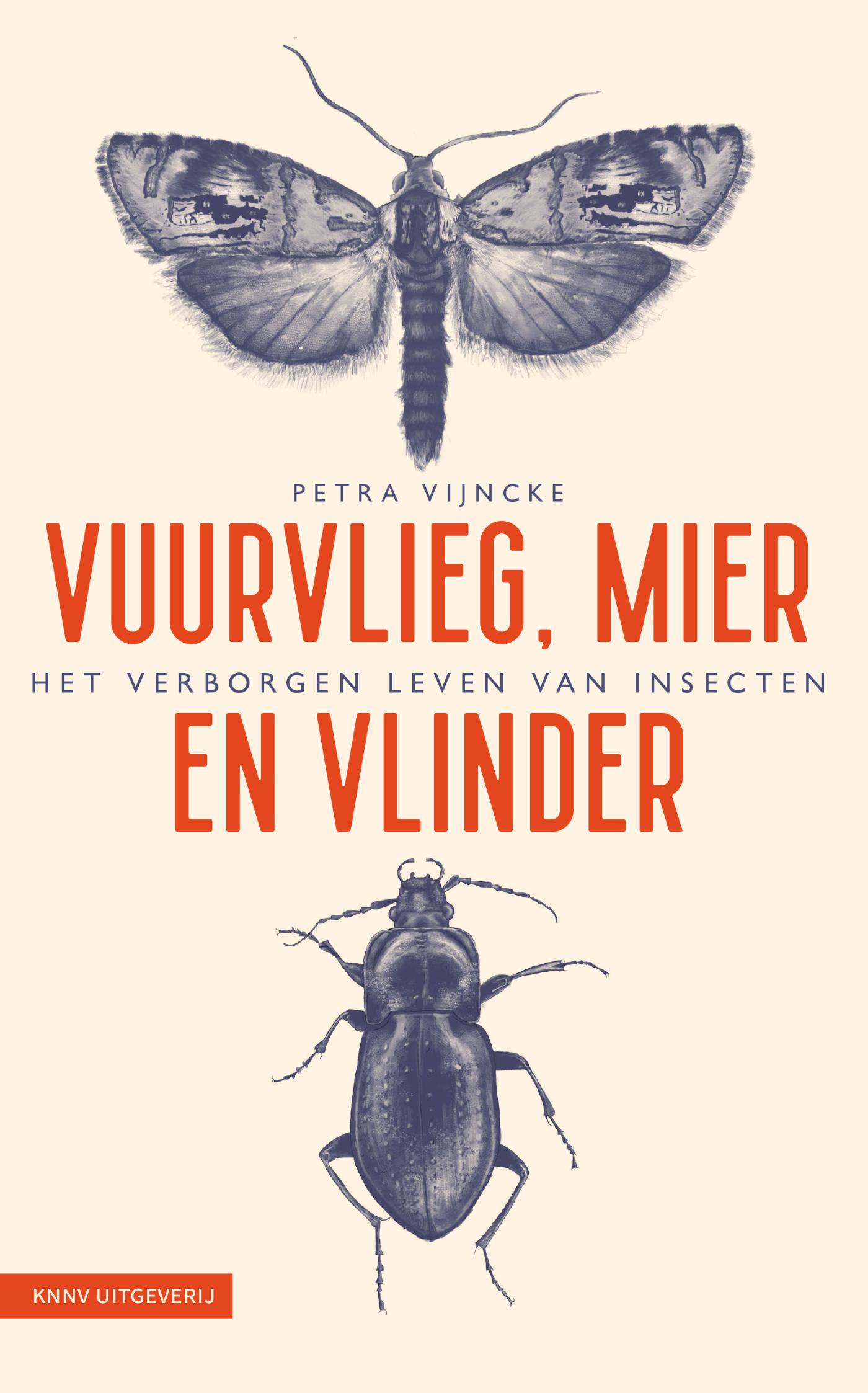 Omslag van Vuurvlieg, mier en vlinder
