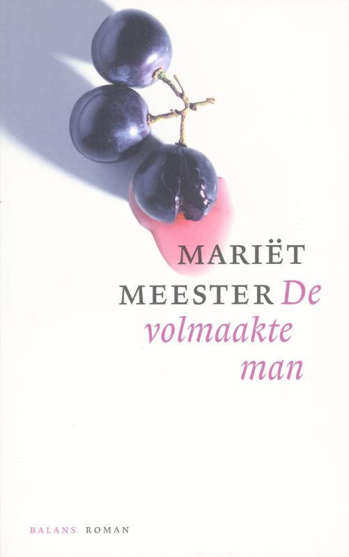 Omslag van De volmaakte man