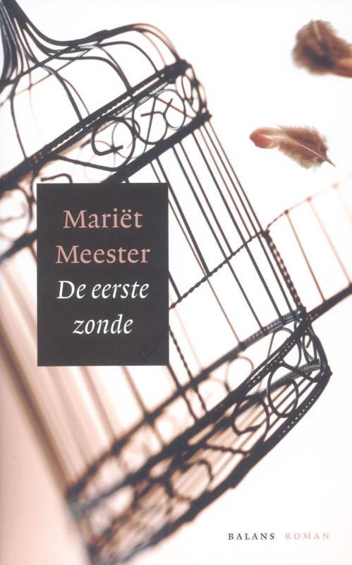Omslag van De eerste zonde