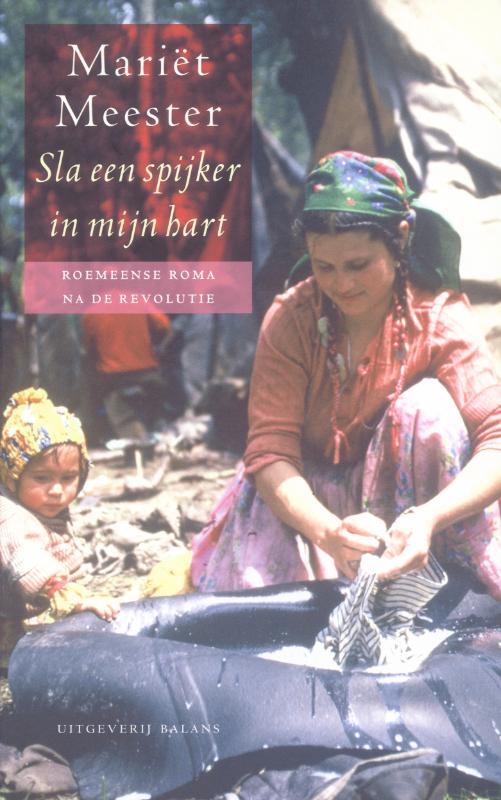 Omslag van Sla een spijker in mijn hart