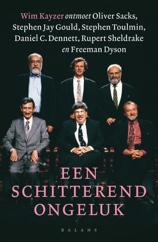Omslag van Een schitterend ongeluk