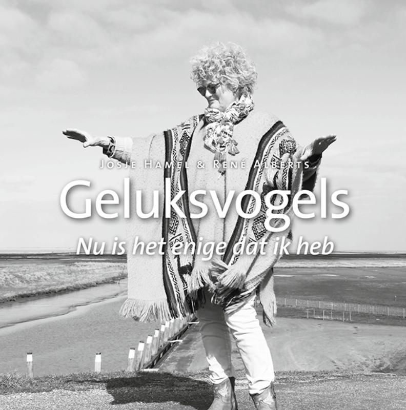 Omslag van Geluksvogels