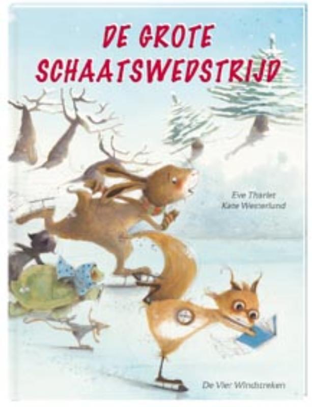 Omslag van De grote schaatswedstrijd