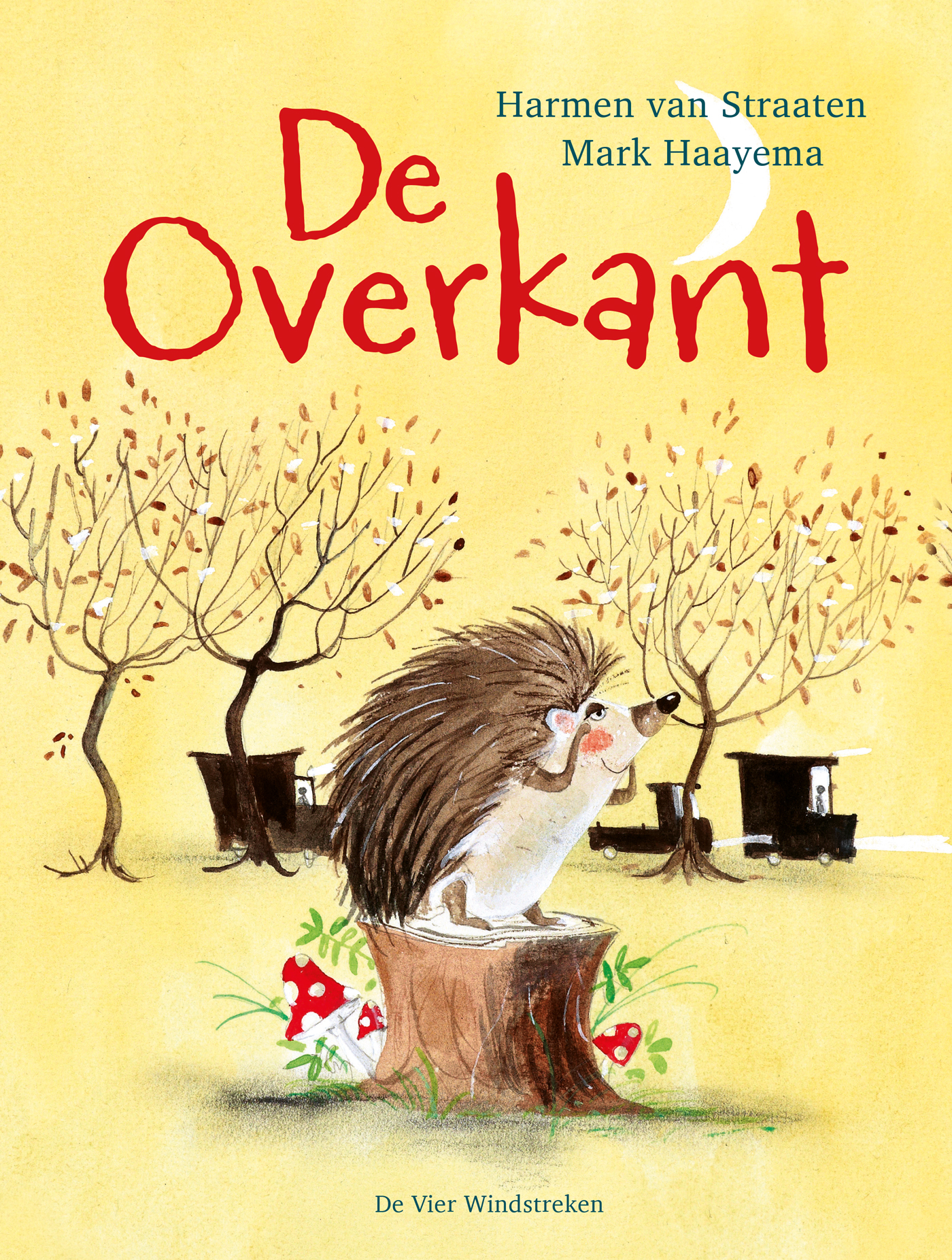 Omslag van De overkant