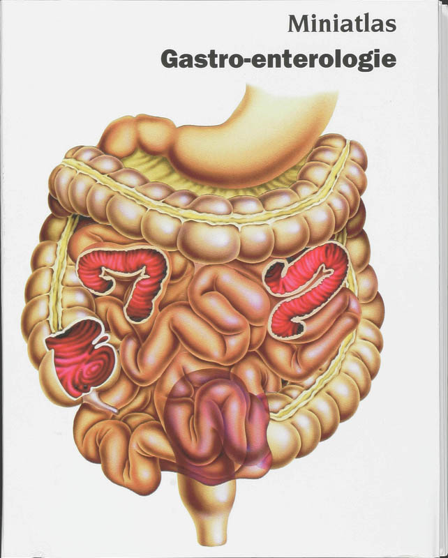 Omslag van Miniatlas gastro-enterologie