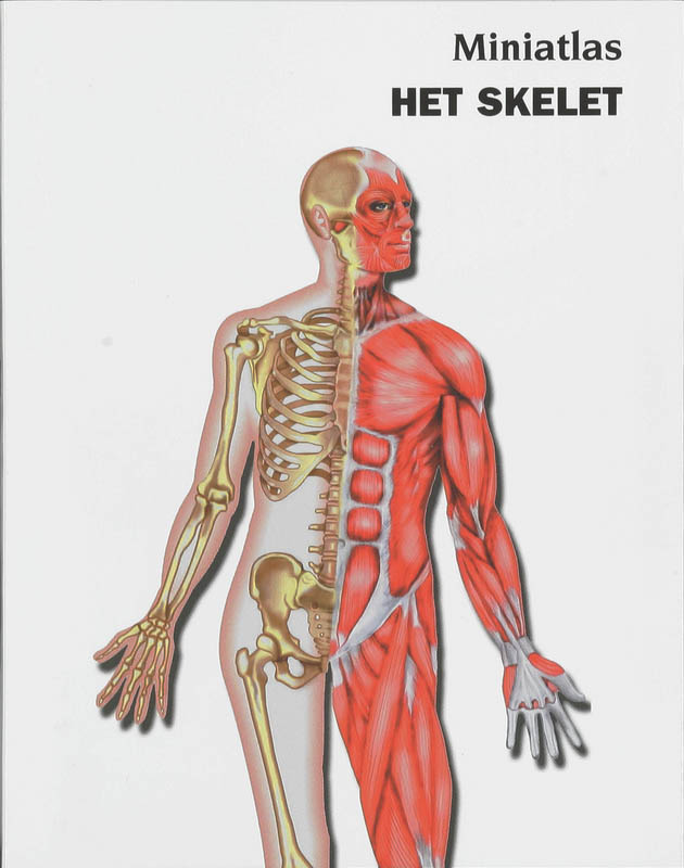 Omslag van Het Skelet