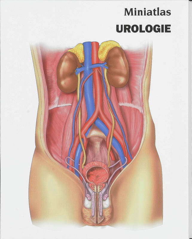 Omslag van Miniatlas Urologie