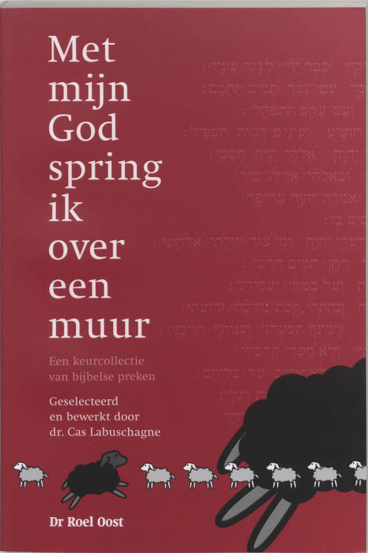 Omslag van Met mijn God spring ik over een muur