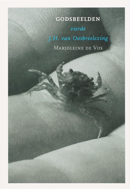 Omslag van Godsbeelden